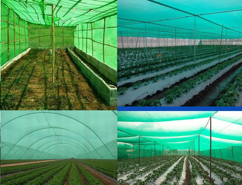 Shade nets